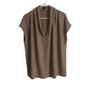 Ann Taylor Shimmering Tan Blouse
